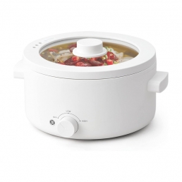 Electric rice cooker  